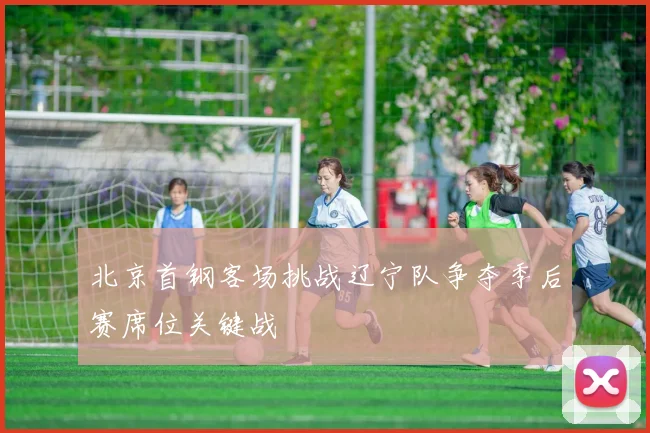 北京首钢客场挑战辽宁队争夺季后赛席位关键战